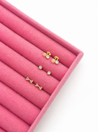 AROS MIREL