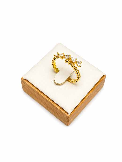 ANILLO ARLISSE